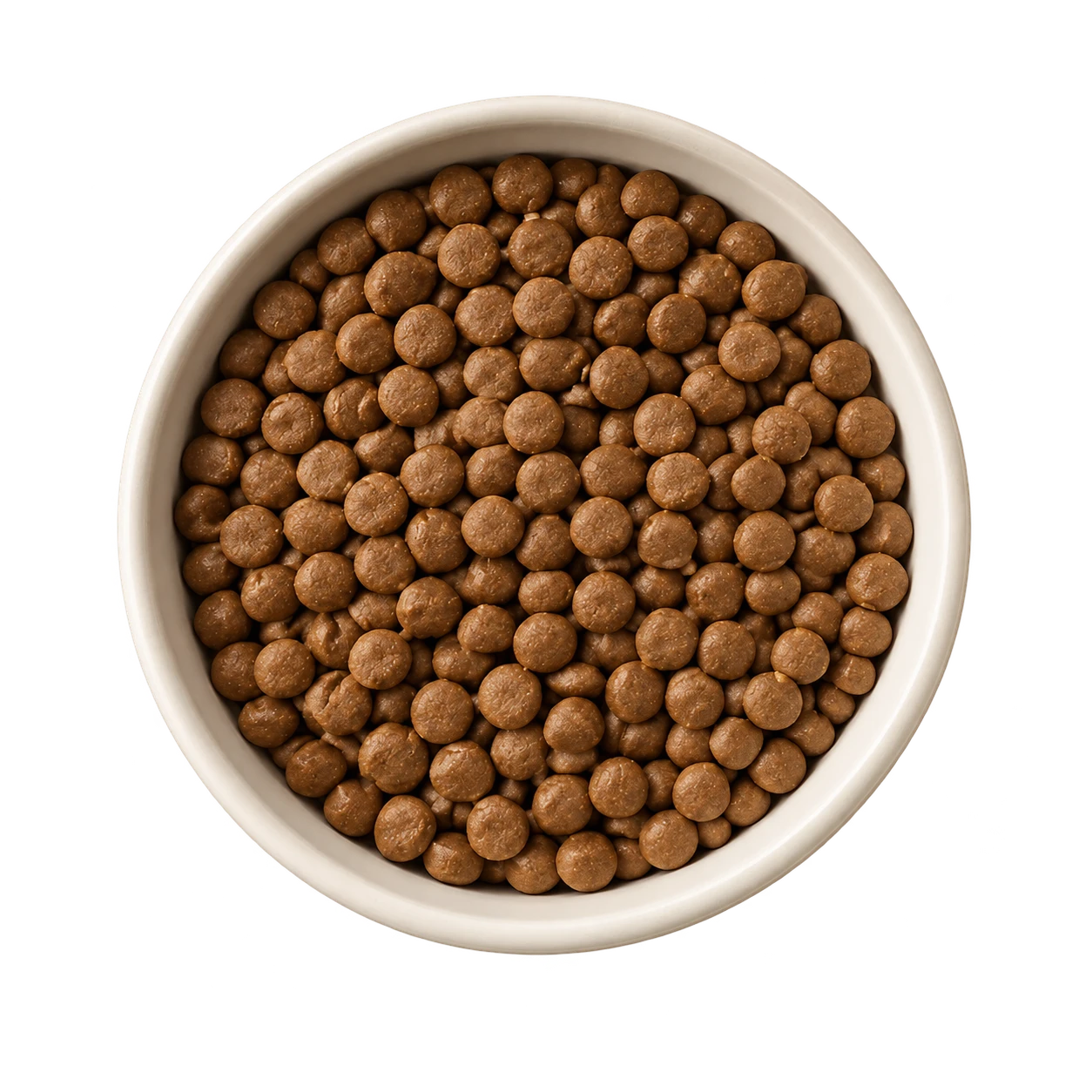 A bowl of plain brown dry kibble, seen from above.